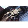 WORKING CRAFTSMAN CHOP SAW, SCROLL SAW, SKELETON, NASCAR AND MORE