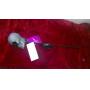 HALLOWEEN DECOR, TOYS, MISC, WWW.ONLINEAUCTIONSLLC.NET