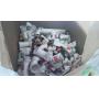 HUGE LOT OF PLASTIC PLUMBING PIPE, MULTIPLE SIZES, WWW.ONLINEAUCTIONSLLC.NET