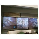 PAW PATROL, T-SHIRT PRESS, CLOTHING AND MORE! WWW.ONLINEAUCTIONSLLC.NET