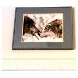 2 Wolves Photo 8x10 $35