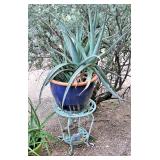 Extra Large Aloe Plant in Glazed Pot $28; Wrought Iron Plant Stand $20