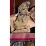 Short Notice Estate-Yard Sale 2/22/25 Quartz Hill