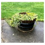 Barrel Planters