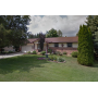 ** 45% Off Saturday!! **Shelby Estate Sale