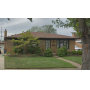 Warren Estate Sale