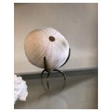 75% OFF Dearborn BLOWOUT Sale!