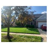 A Canton Estate Sale