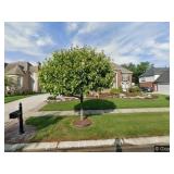 Shelby Twp Estate Sale