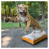 Eaast Lansing Estate Sale