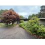 70% OFF Bloomfield Hills Estate Sale