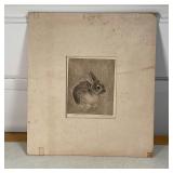 "COTTONTAIL" ETCHING