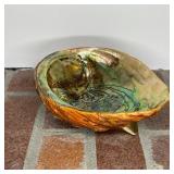 PHENOMENAL SHELL VIDA POCHE