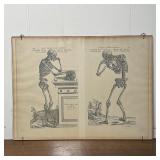 MEMENTO MORI SKELETON PRINTS