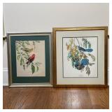 PAIR BIRD PRINTS | Both prints of watercolors; One depicting "Florida Jay", other inscribed "James G