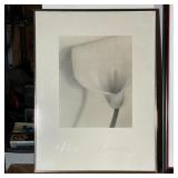 Carol Marino "Fleurs de Lumiere" at the Jane Corkin Gallery, West Toronto