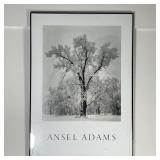 ANSEL ADAMS POSTER | Black and white photograph of a snowy tree, in a simple thin black frame