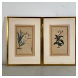 PAIR BOTANICAL PRINTS | 14 x 10 in., each framed 