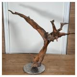 LARGE WOOD ROOT SCULPTURE | h. 25 x 34 x 16 in.; on a custom metal plinth 
