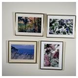 (4pc) COLOR PHOTOGRAPHS | Of landscape and nature scenes; each overall 11 x 14 in., framed 