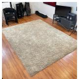 BEIGE SHAG CARPET | 8 ft. x 10 ft. 6 in.