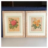PAIR BOTANICAL PRINTS | Floral studies after Alfred Riocreux, each matted and nicely framed; each ov