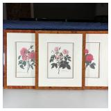 (3pc) BOTANICAL PRINTS | Floral botanical studies, in burl veneered frames; each overall 23 x 20 in.