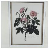 (3pc) BOTANICAL PRINTS | Floral botanical studies, in burl veneered frames; each overall 23 x 20 in.