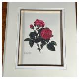 (3pc) BOTANICAL PRINTS | Floral botanical studies, in burl veneered frames; each overall 23 x 20 in.