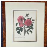 (3pc) BOTANICAL PRINTS | Floral botanical studies, in burl veneered frames; each overall 23 x 20 in.