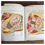 (2vol) HEALTH KNOWLEDGE | Volumes I & II: 34 Departments Scientifically Illustrated, Medial Book Dis