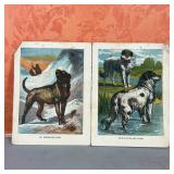 FOLIO of DOG ENGRAVINGS | Bound in linen, color engravings of dogs; overall 9-1/2 x 7-1/4 in.