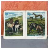 FOLIO of DOG ENGRAVINGS | Bound in linen, color engravings of dogs; overall 9-1/2 x 7-1/4 in.