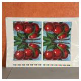 1920s CHERRIES LITHOGRAPH | Lithograph poster, mirrored images of cherries unframed and with margins