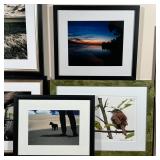 (7pc) FRAMED PHOTOGRAPHY | Mostly nature-themed photographs of nice composition, all well-framed; la
