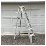 6FT LADDER | Painter