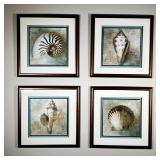 (4pc) SHELL ART | Framed prints of marine studies, including shells and a nautilus, each signed in t