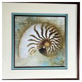 marine studies, including shells and a nautilus, each signed in the print and float mounted floating