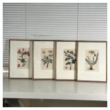 (4pc) ROBERT SWEET ENGRAVINGS | Early 19th century, English hand-colored copper engravings of Gerani