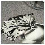 (7pc) UNFRAMED PHOTOGRAPHS | Including four 18 x 18 in. nature photographs (two gelatin prints of ea