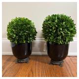 PAIR TOPIARIES | Two boxwood balls in black metal-footed planters, all with Greenwich Orchids labels