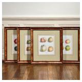 (4pc) E. RONALDS APPLE ENGRAVINGS | Color prints, studies of apples, nicely matted in matching frame