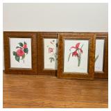 (4pc) REDOUTE FLORAL ENGRAVINGS | P.J. Redoute floral engravings in burlwood frames; each overall 12