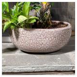 GLAZED POTTERY PLANTER | Dotted glazed pottery planter - h. 6 x dia. 14 in.