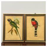 PAIR BIRD PRINTS | Antique style studies of birds - h. 17 x w. 12-3/4 in. (overall)