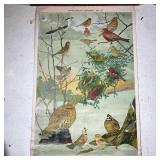 Vintage Audubon poster with birds, published by Milton Bradley, paper on linen