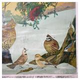 AUDUBON CHART NO. 3  |  Vintage Audubon poster with birds, published by Milton Bradley, paper on lin