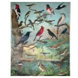 AUDUBON CHART NO. 2  | Vintage Audubon poster with birds, published by Milton Bradley, paper on line