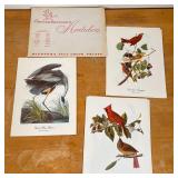 bird and game prints, including "18 Best Loved Bird Paintings by Audubon" (9-1/2 x 12-1/4 in.) [unsu