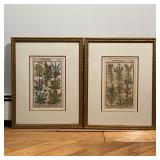 (2pc) PAIR GARDEN PLEASANT FLOWERS PRINTS  |  Botanical plates from a book, overall 17 x 21 in - w. 